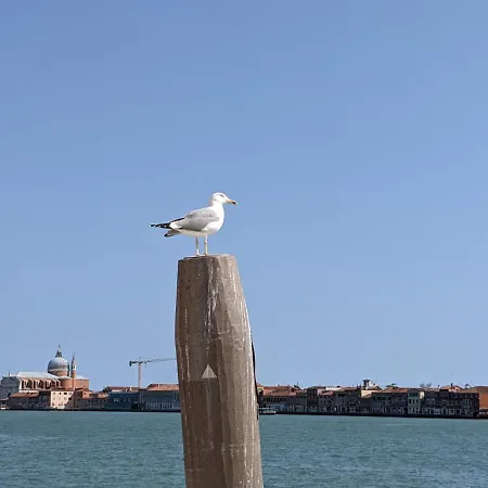 Red Tower Venice - 2 Mins From Vce Airport- Free Wifi * 泰塞拉